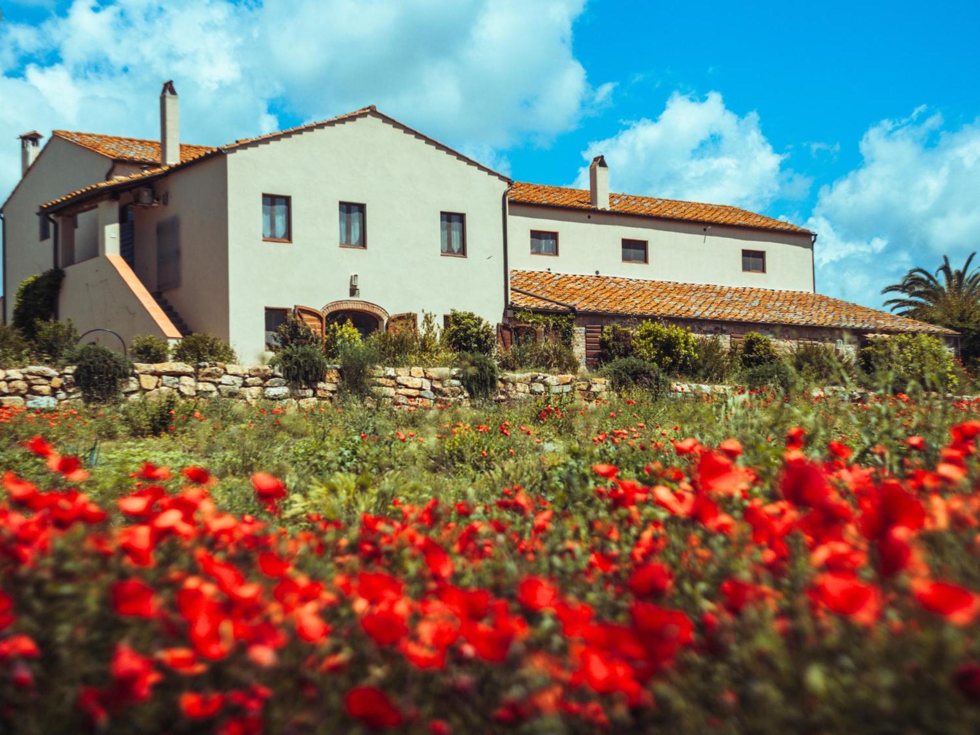 Laselva Albinia Εξωτερικό φωτογραφία